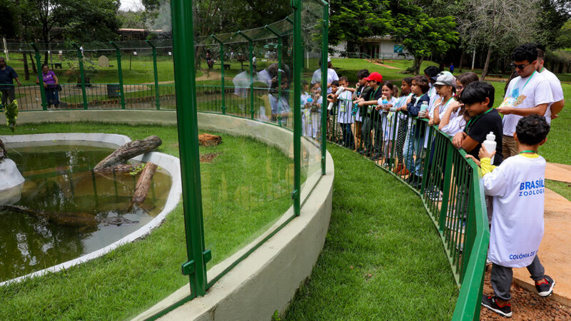 Colônia de Feras do Zoológico é opção de diversão e aprendizado para a criançada nas férias