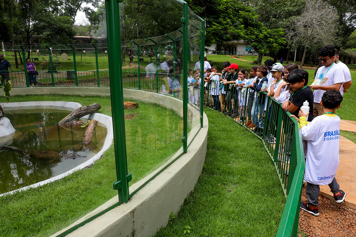 Colônia de Feras do Zoológico é opção de diversão e aprendizado para a criançada nas férias