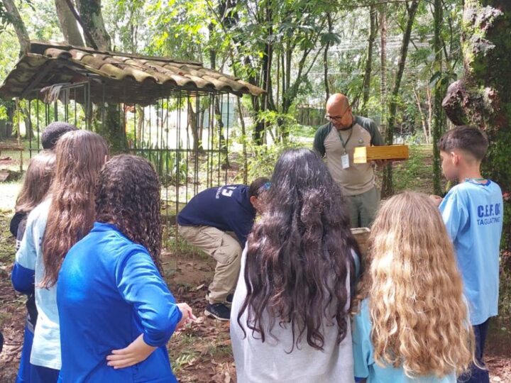 Inscrições para o Parque Educador estão abertas até o dia 25