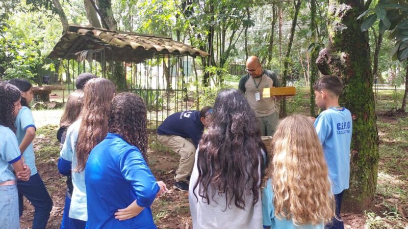 Inscrições para o Parque Educador estão abertas até o dia 25