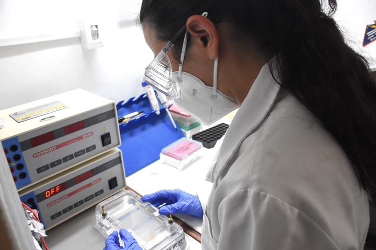 Semana Nacional de Controle e Combate à Leishmaniose alerta para prevenção da doença no DF