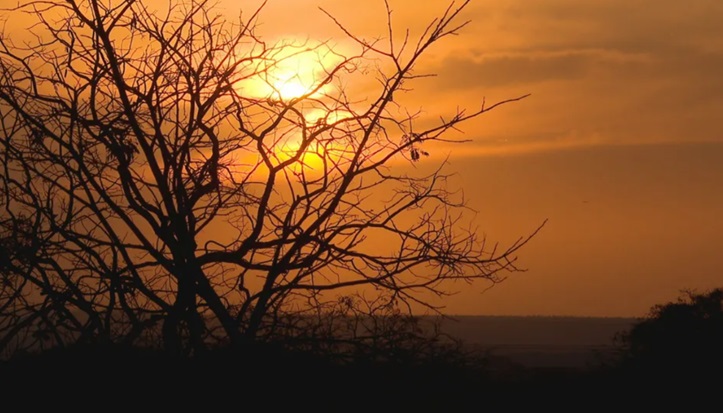Seca histórica no DF acende alerta para riscos à saúde; umidade caiu a 9% nesta quinta (11)