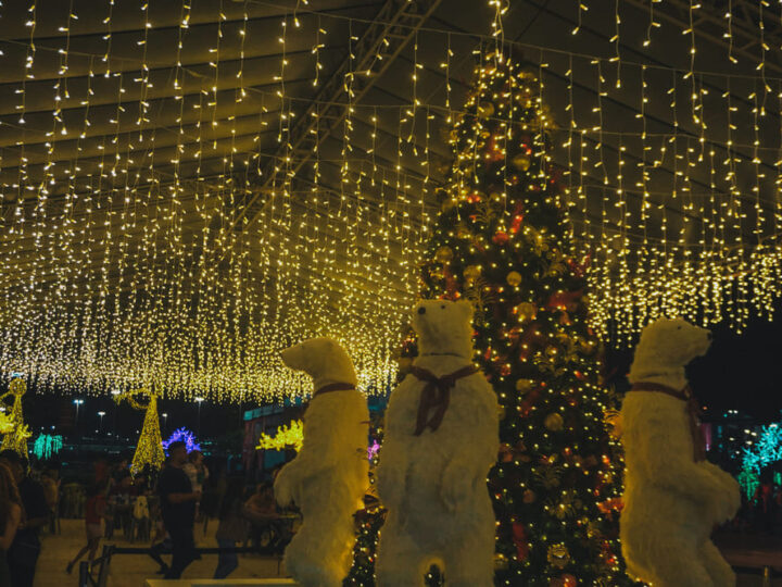 Programação do Nosso Natal 2025 continua até 4 de janeiro. Aproveite!