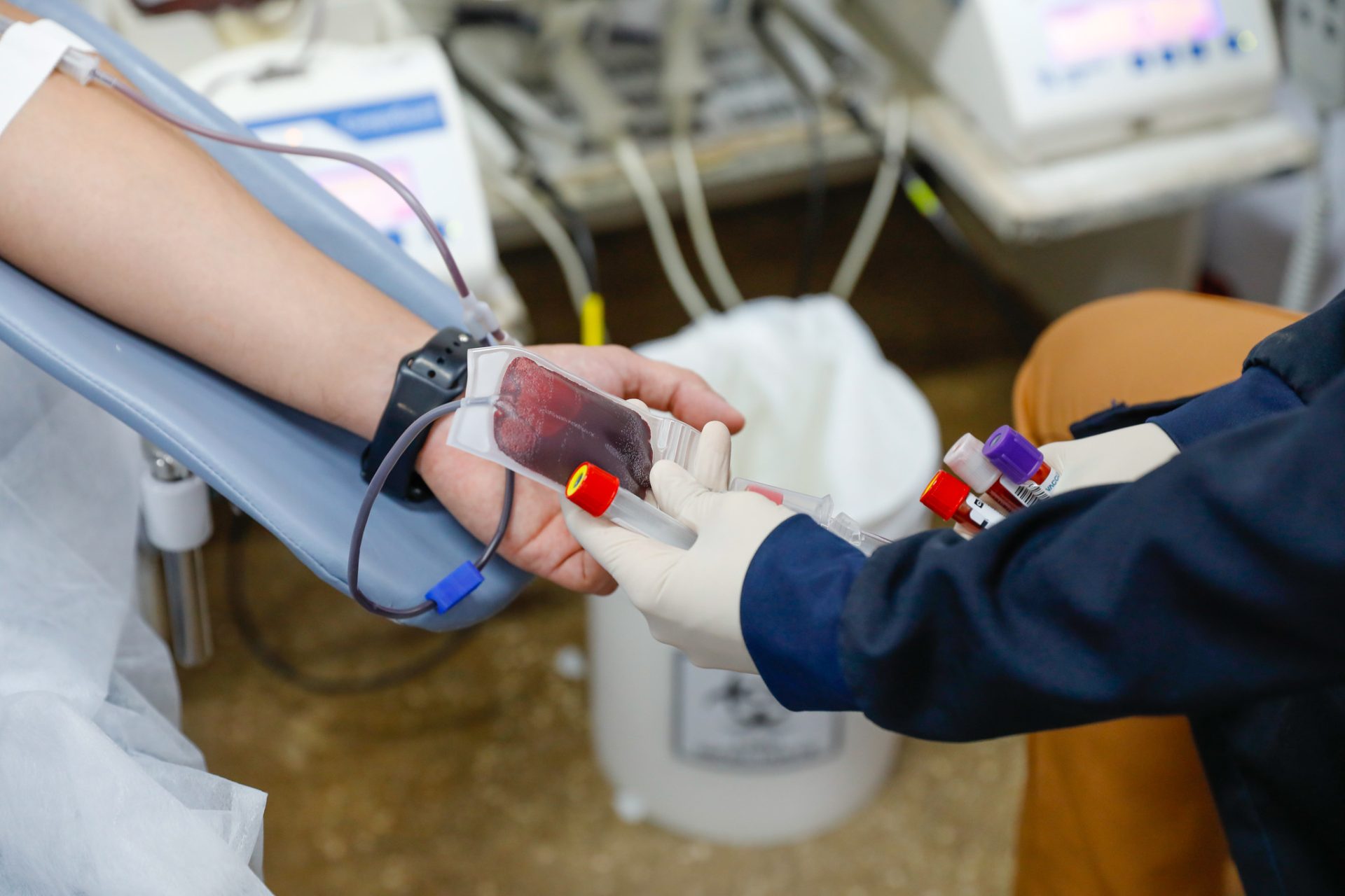 Novos critérios facilitam doação de sangue no DF a partir de 30 de setembro